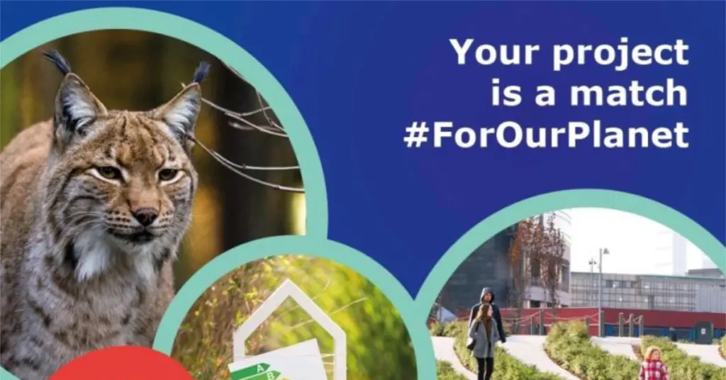 Információs Nap a 2024-es LIFE Programme pályázatai felhívásairól!