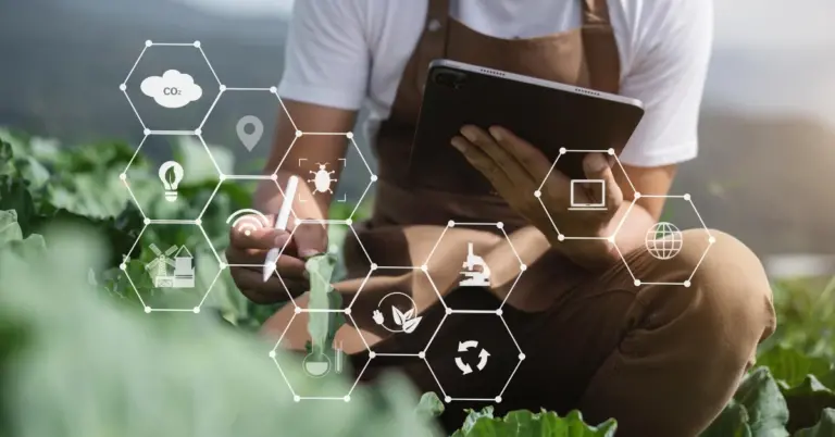 Új lehetőségek a horizonton: Közvetlen EU-s források a magyar agrárszektor számára!