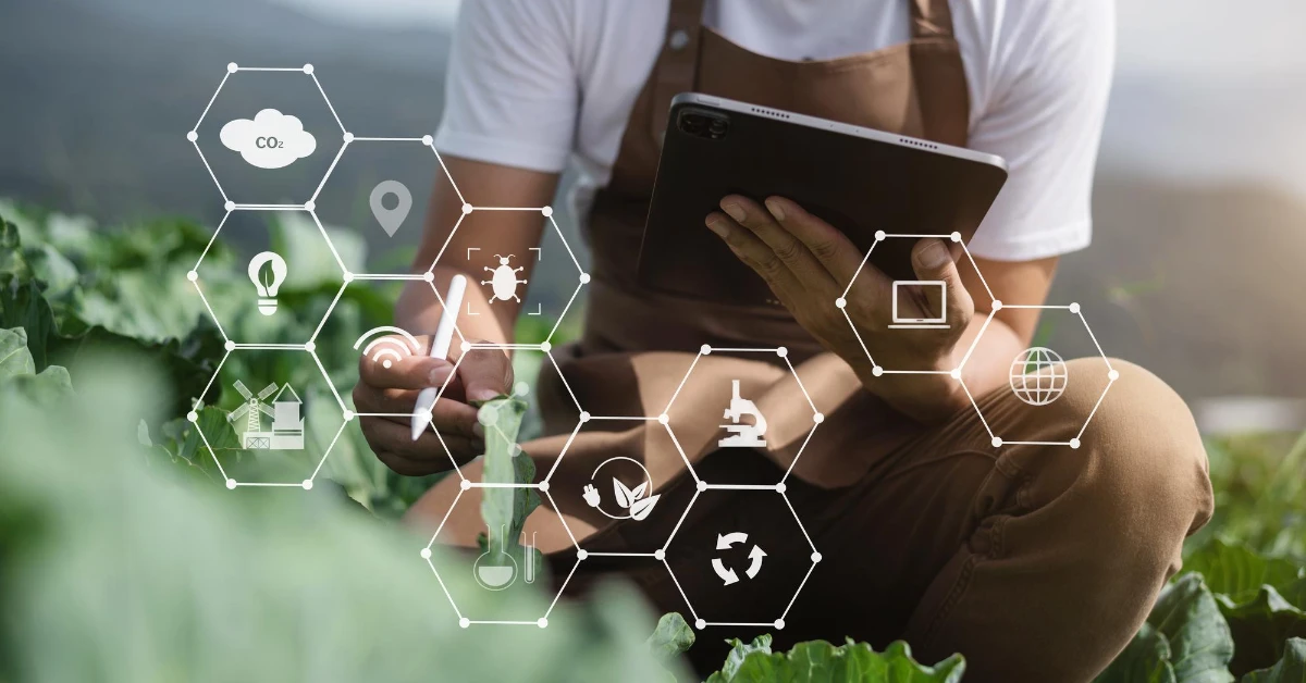 Új lehetőségek a horizonton: Közvetlen EU-s források a magyar agrárszektor számára!