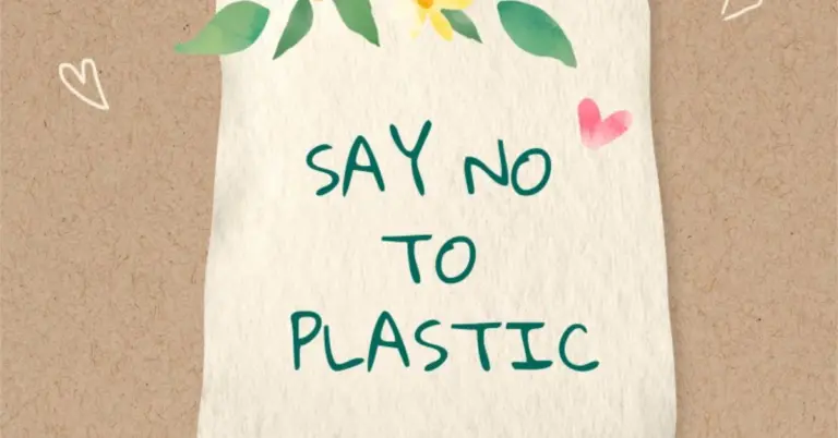 Műanyagmentes Július: Fedezze fel a LIFE Program Pályázati lehetőségeit! 