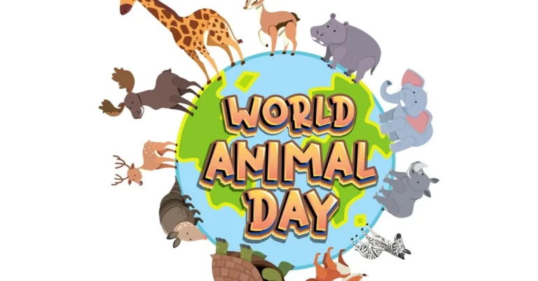 Állatok Világnapja