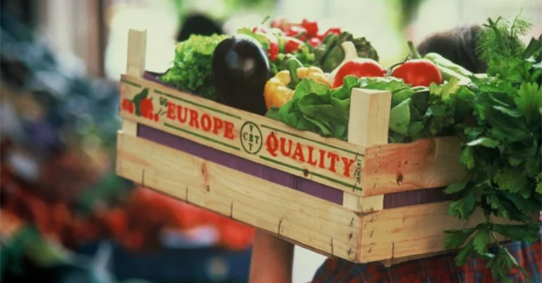 A Talaj Világnapján az MFOI-nál is főszerepben az agrárium